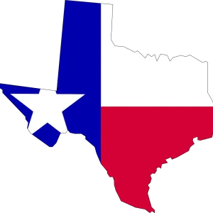 Nip-tuck Survey: Why Texans Want Treatment