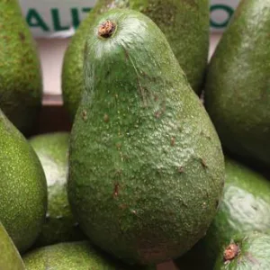 Plastic Surgeon Suggests Warning Labels After Rise in ‘Avocado Hand’