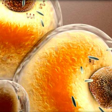 Screen Shot 2017 01 16 at 11