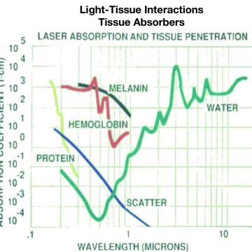 Light Tissue