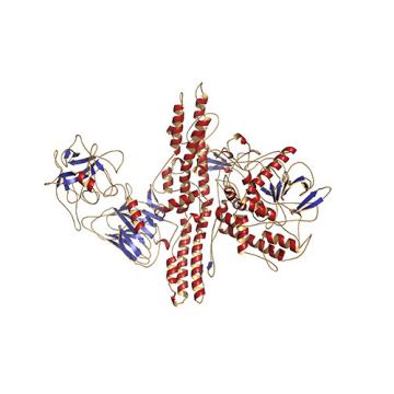 Amspa botox protein structure 060123