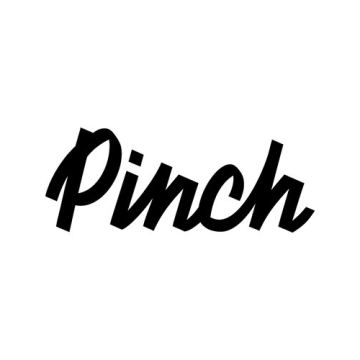 Amspa pinch logo