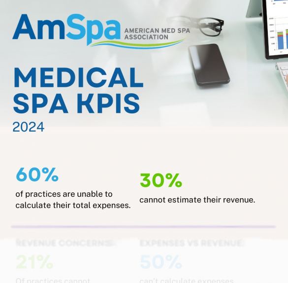 medical spa business plan