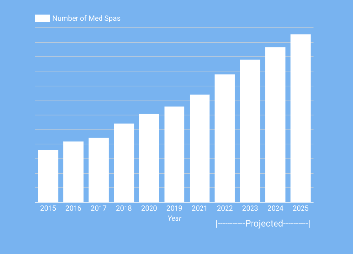 Med Spa State of the Industry Report report sample 2
