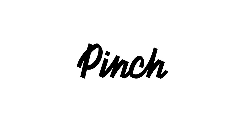 Pinch Med Inc. logo